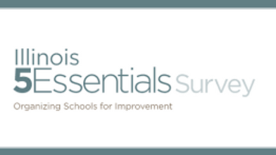  5 Essentials image